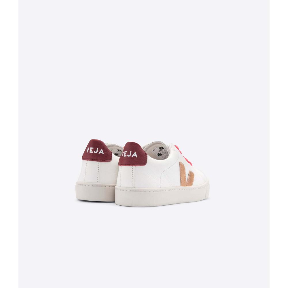 Kids' Veja ESPLAR LEATHER Sneakers Gold/Red/White | ZA 810OKI